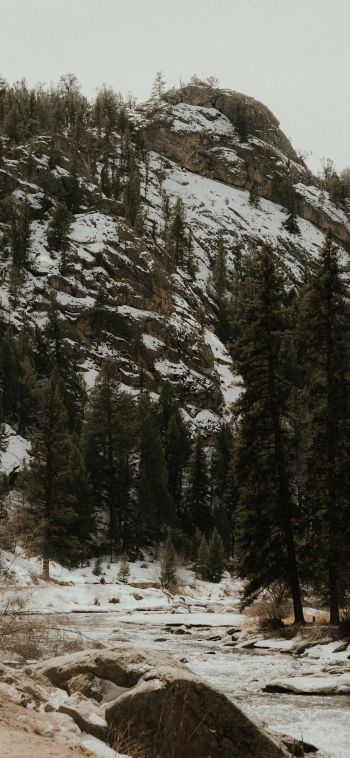 forest, mountains, mountain river Wallpaper 1080x2340