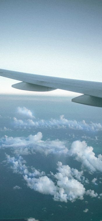 airplane wing, clouds Wallpaper 828x1792