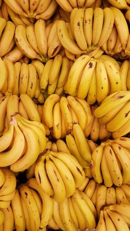 Обои 2268x4032 бананы, фрукт