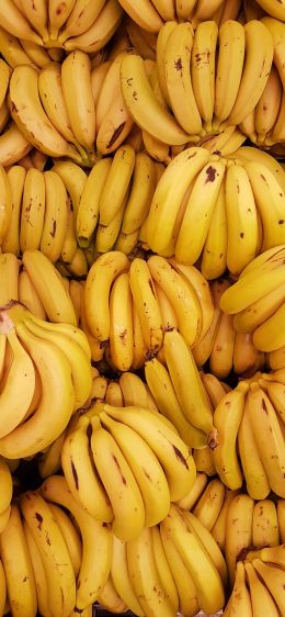 bananas, fruit Wallpaper 1284x2778