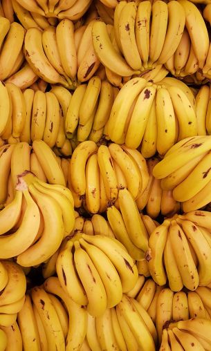 Обои 1200x2000 бананы, фрукт