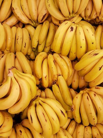 Обои 2048x2732 бананы, фрукт