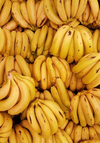 bananas, fruit Wallpaper 1668x2388