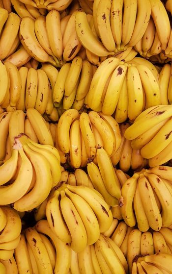 bananas, fruit Wallpaper 1752x2800