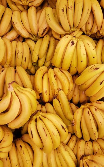 bananas, fruit Wallpaper 1600x2560