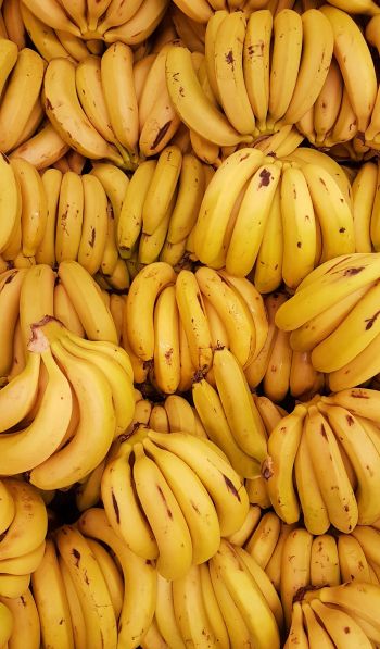 Обои 600x1024 бананы, фрукт