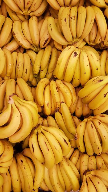 Обои 2160x3840 бананы, фрукт