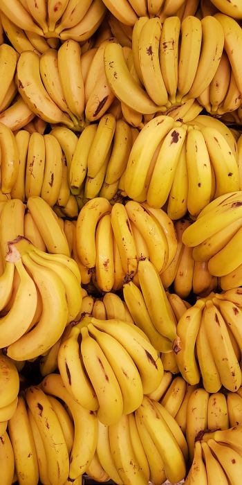 Обои 720x1440 бананы, фрукт