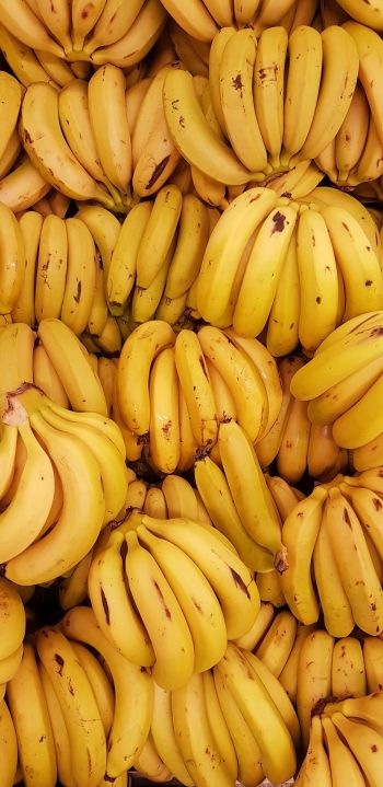 Обои 1080x2220 бананы, фрукт