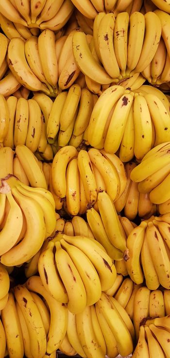 Обои 720x1520 бананы, фрукт