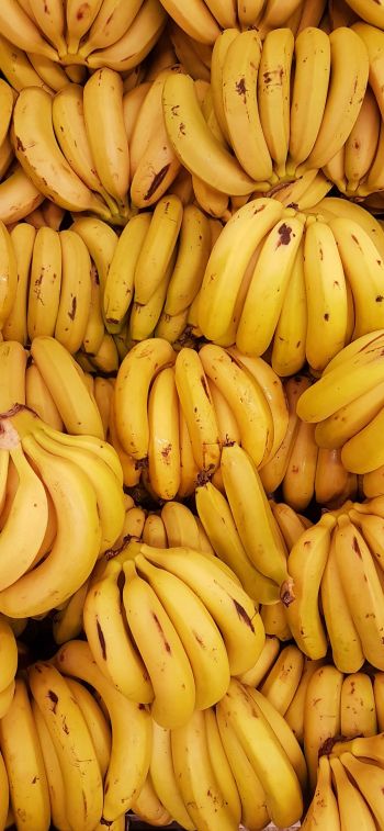 Обои 1284x2778 бананы, фрукт