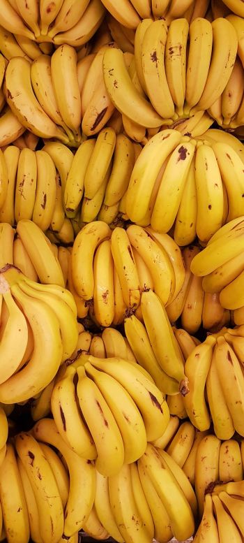 Обои 1080x2400 бананы, фрукт