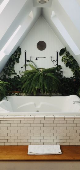 Обои 720x1520 ванная комната, растения