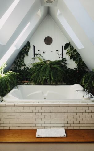 Обои 800x1280 ванная комната, растения