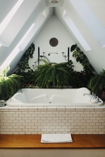 Обои 640x960 ванная комната, растения