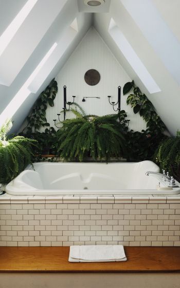 Обои 800x1280 ванная комната, растения