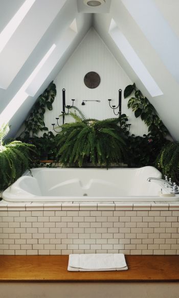 bathroom, plants Wallpaper 1200x2000
