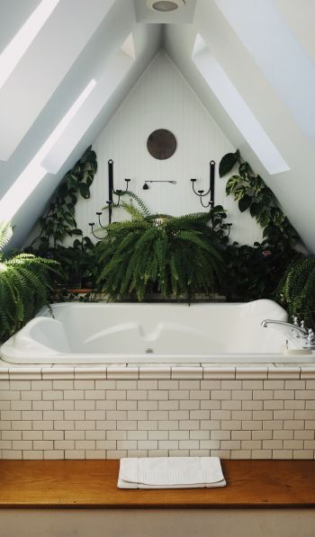 bathroom, plants Wallpaper 600x1024