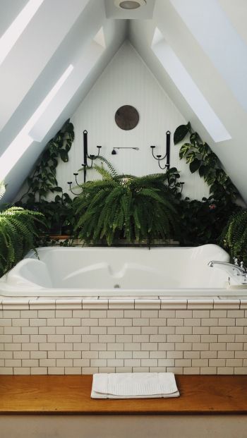 bathroom, plants Wallpaper 640x1136