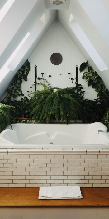 Обои 720x1440 ванная комната, растения
