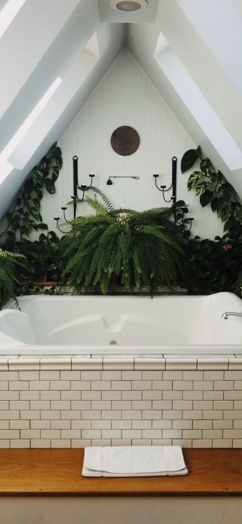 bathroom, plants Wallpaper 828x1792