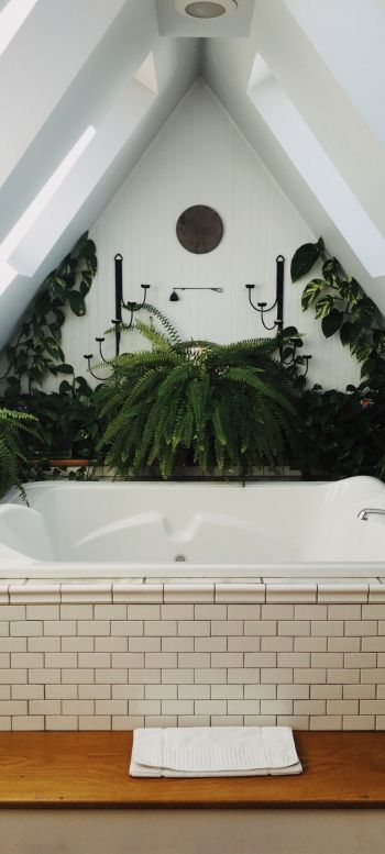 Обои 720x1600 ванная комната, растения