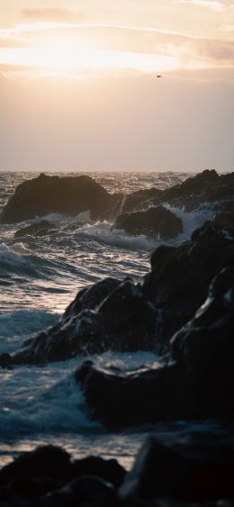 Portpatrick Harbor, sea Wallpaper 1080x2340