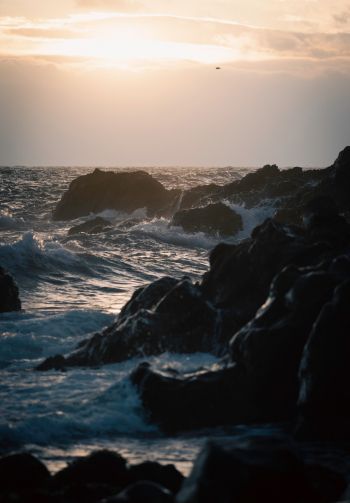 Portpatrick Harbor, sea Wallpaper 1640x2360