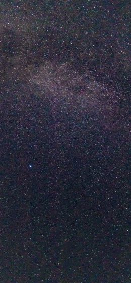 Обои 828x1792 звездное небо, звезды