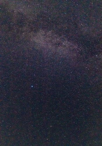 starry sky, stars Wallpaper 1668x2388