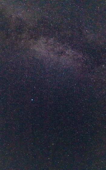 Обои 1752x2800 звездное небо, звезды