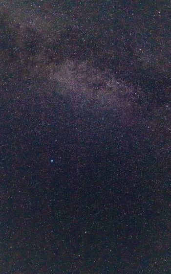 starry sky, stars Wallpaper 1600x2560