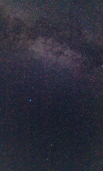 starry sky, stars Wallpaper 1200x2000
