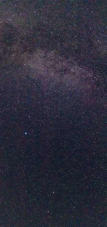 starry sky, stars Wallpaper 1440x3040