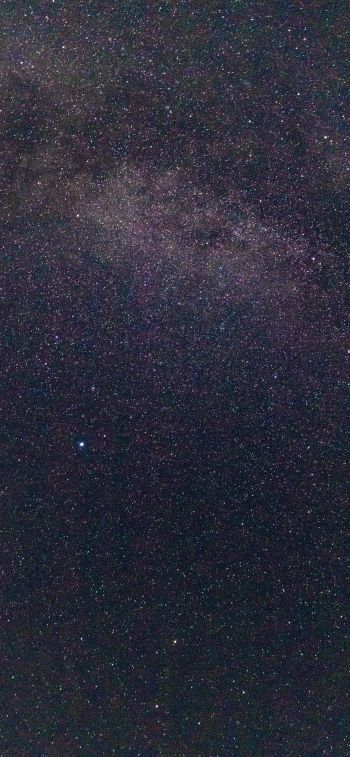 Обои 828x1792 звездное небо, звезды