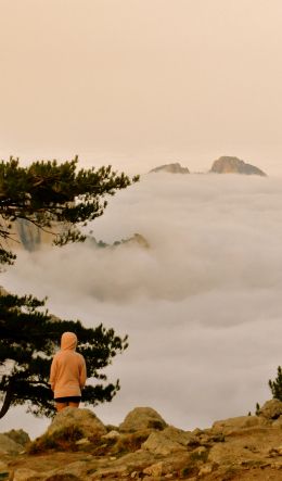 Aiguille de Bavella, Quensa, France Wallpaper 600x1024