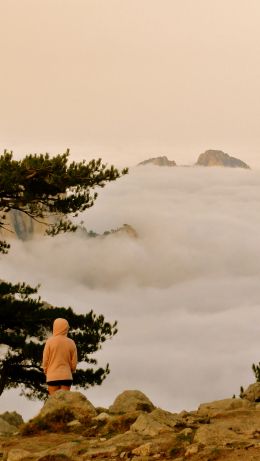 Aiguille de Bavella, Quensa, France Wallpaper 640x1136