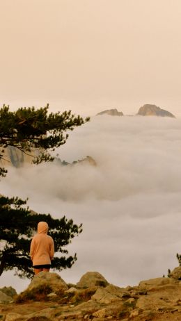 Aiguille de Bavella, Quensa, France Wallpaper 750x1334