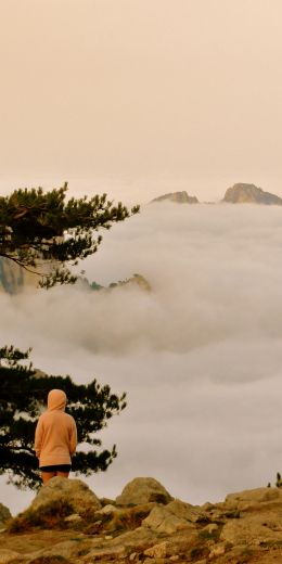 Aiguille de Bavella, Quensa, France Wallpaper 720x1440