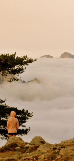 Aiguille de Bavella, Quensa, France Wallpaper 1080x2340