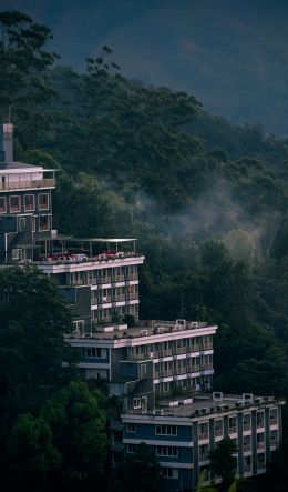 Munnar, Kerala, India Wallpaper 600x1024