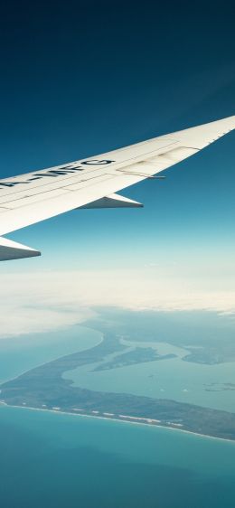 airplane wing, above ground Wallpaper 1242x2688
