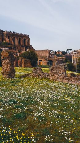 metropolitan city of rome, Italy Wallpaper 640x1136