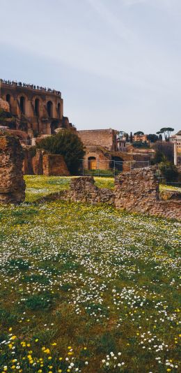 metropolitan city of rome, Italy Wallpaper 1080x2220