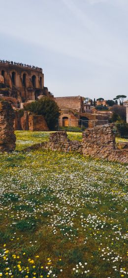 metropolitan city of rome, Italy Wallpaper 1242x2688