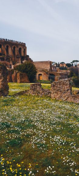 metropolitan city of rome, Italy Wallpaper 1080x2400