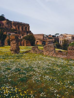 metropolitan city of rome, Italy Wallpaper 1668x2224