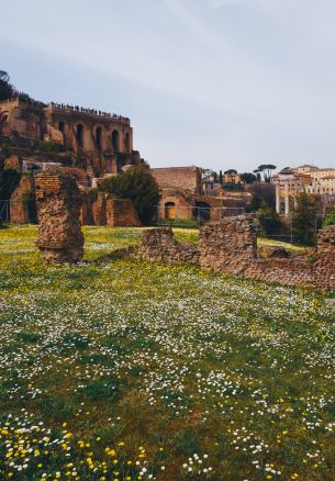 metropolitan city of rome, Italy Wallpaper 1640x2360