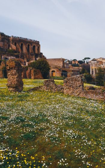metropolitan city of rome, Italy Wallpaper 800x1280