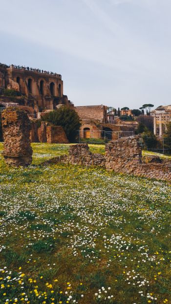 Обои 720x1280 столичный город Рим, Италия
